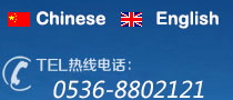 新能源